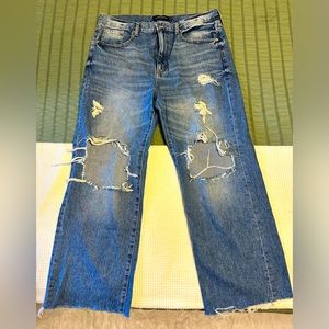 Aeropostale Size 12R Low Rise Skater Jeans